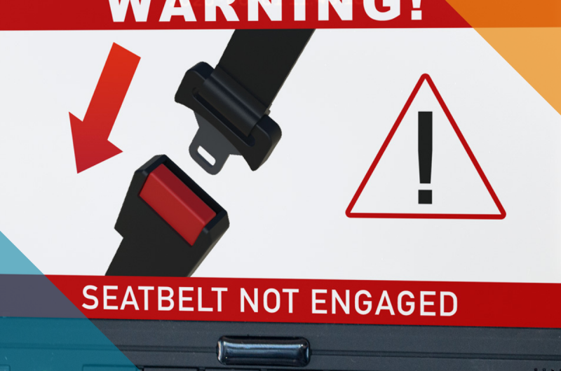 Seatbelt Article
